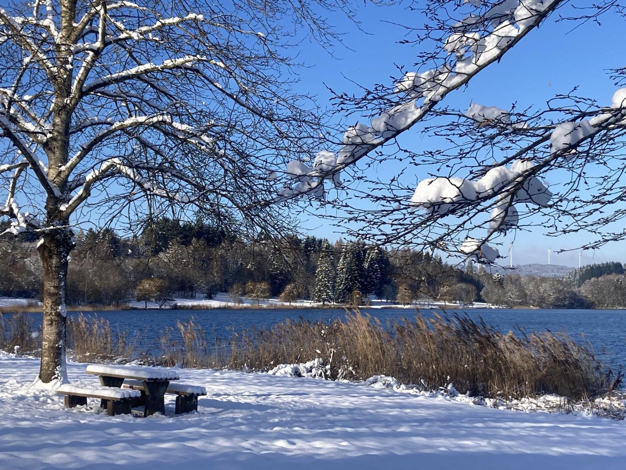 Draussen Am See Losheim Exteriér fotografie